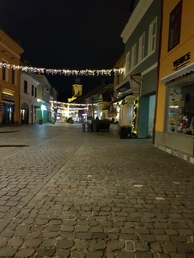 Weiss House Lejlighed Braşov Eksteriør billede